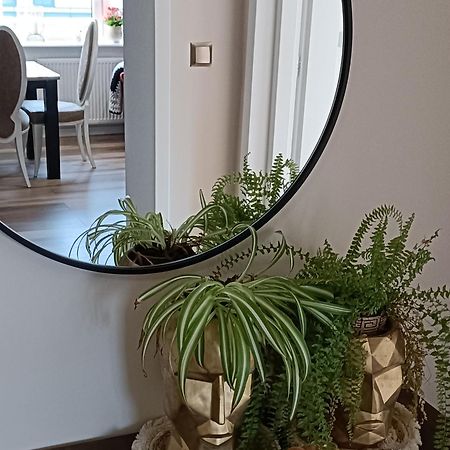Duże Apartamenty Holender House 6 plaż w zasięgu plus jezioro Choczewo Buitenkant foto