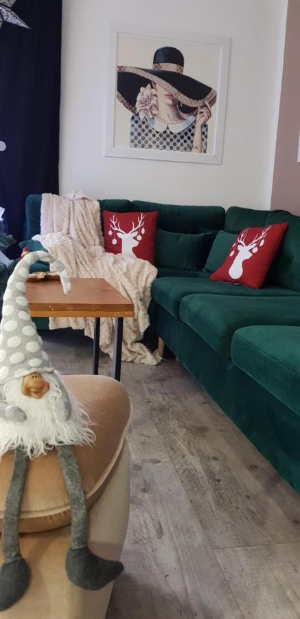 Duże Apartamenty Holender House 6 plaż w zasięgu plus jezioro Choczewo Buitenkant foto
