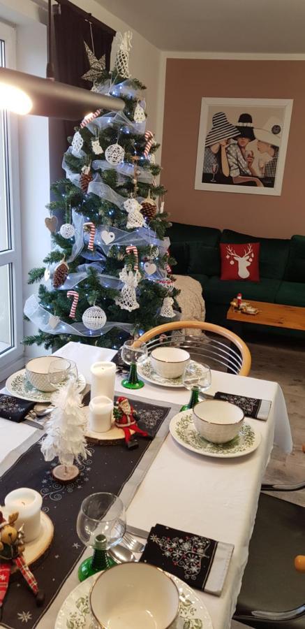 Duże Apartamenty Holender House 6 plaż w zasięgu plus jezioro Choczewo Buitenkant foto