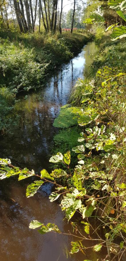 Duże Apartamenty Holender House 6 plaż w zasięgu plus jezioro Choczewo Buitenkant foto