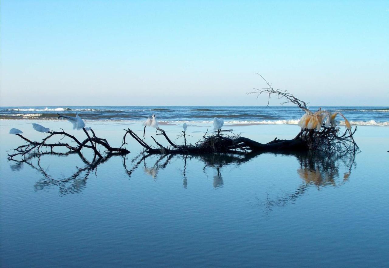 Duże Apartamenty Holender House 6 plaż w zasięgu plus jezioro Choczewo Buitenkant foto