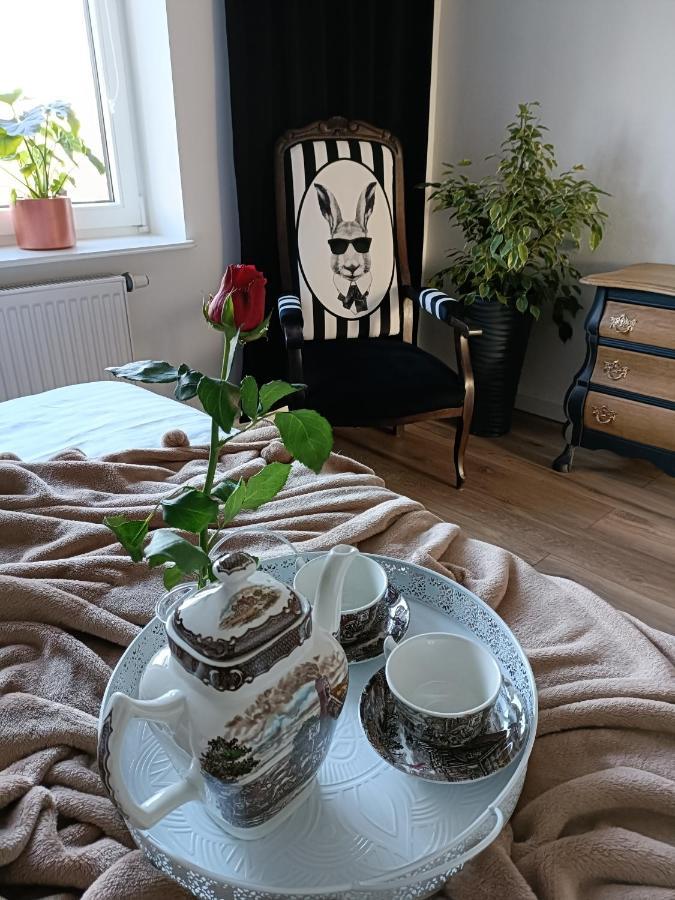 Duże Apartamenty Holender House 6 plaż w zasięgu plus jezioro Choczewo Buitenkant foto
