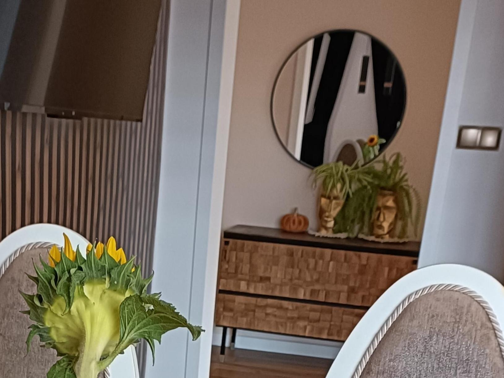 Duże Apartamenty Holender House 6 plaż w zasięgu plus jezioro Choczewo Buitenkant foto